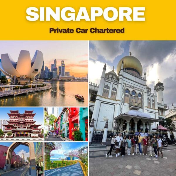 Private Singapore Local Car Tour + Guide (4, 6 & 8 Hours)