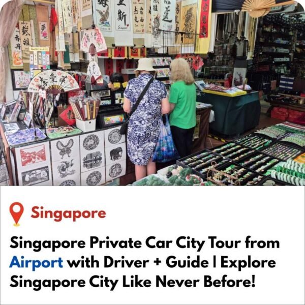 Singapore Private Car Tour from Airport with Driver-Guide