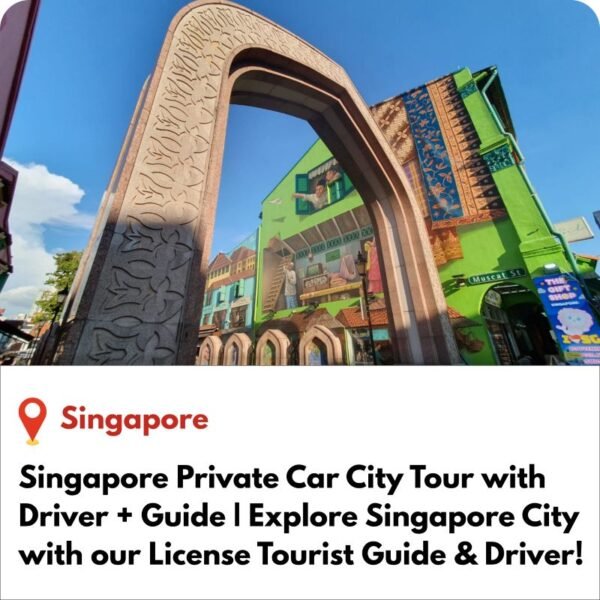 Singapore Private Car City Tour with Driver + Guide